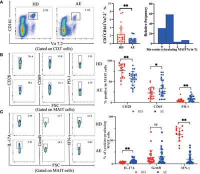 Phenotype and function of MAIT cells in patients with alveolar echinococcosis